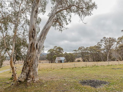Cooinbil Hut Campground - ACT Tourism 2