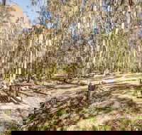 Coree campground - ACT Tourism