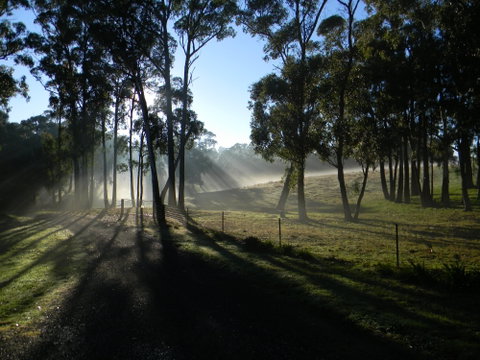 Cygnet Park Country Retreat - ACT Tourism 2