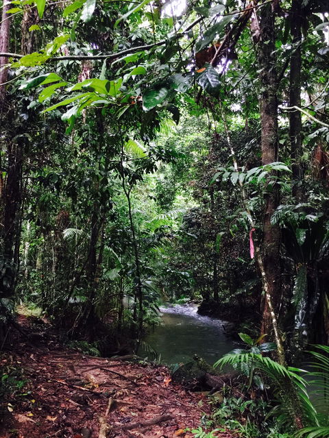 Daintree Wilderness Lodge - ACT Tourism 2