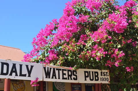 Daly Waters Historic Pub - ACT Tourism 0