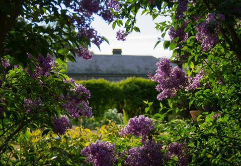 Eurambeen Historic Homestead And Gardens - ACT Tourism 1