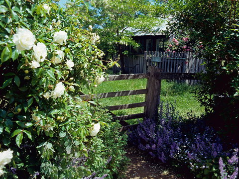 Hamilton's Cottage Collection And Country Gardens - Edwards - ACT Tourism 0