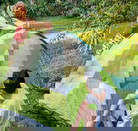 Native Dog campground - ACT Tourism