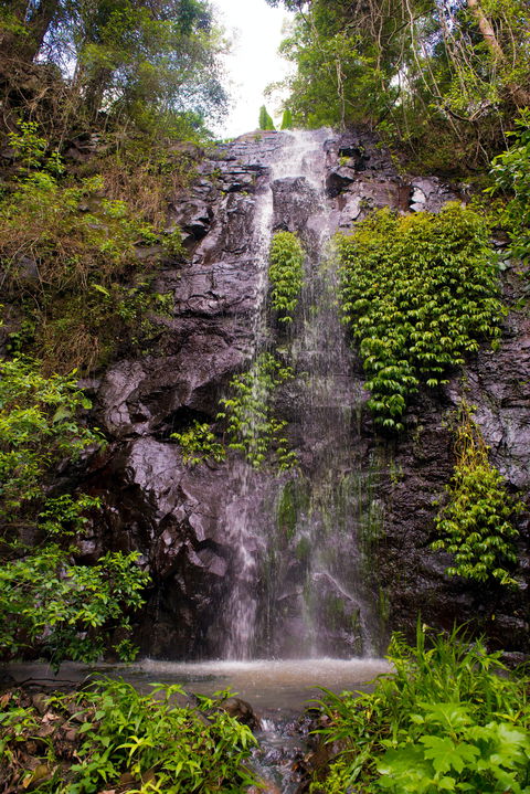 Nimbin Waterfall Retreat - ACT Tourism 0