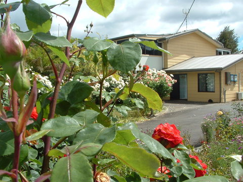 North East Restawhile Bed And Breakfast - ACT Tourism 1