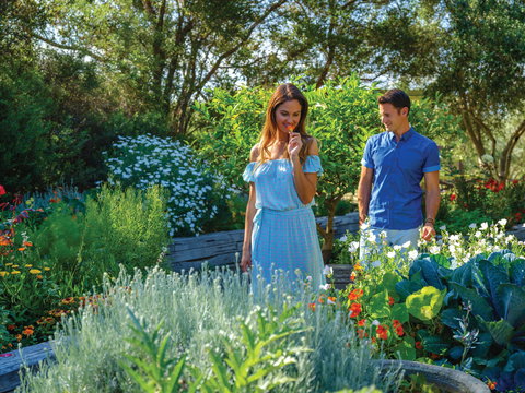 Olio Bello Lakeside Glamping - ACT Tourism 1