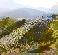 Rosetta's Garden Guesthouse - ACT Tourism