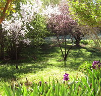 Sofala Cottage - ACT Tourism