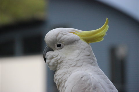 Sundial Holiday Apartments - ACT Tourism 1