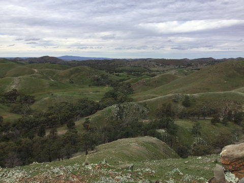 Three Creeks - ACT Tourism 0