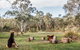 Warialda - thumb 1