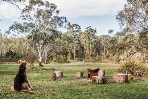 Warialda - ACT Tourism 1