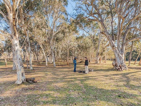 Wares Yards Campground - ACT Tourism 2