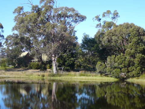 Wind Song Bed And Breakfast - ACT Tourism 2