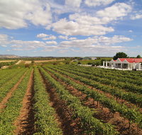 1837 Barossa Luxury Vineyard Cottages - ACT Tourism