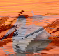 4 Pelican Court - River Shack Rentals - ACT Tourism