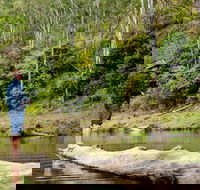 Bass Lodge - ACT Tourism