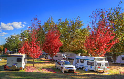 Beechworth Lake Sambell Caravan Park - ACT Tourism 0
