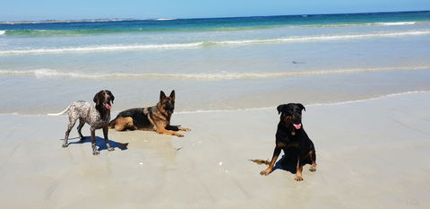 BIG4 Warrnambool Figtree Holiday Park - ACT Tourism 2