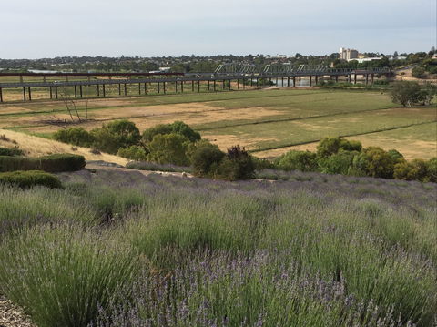 Brayfield Cottage - ACT Tourism 0