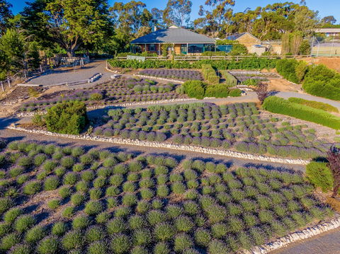 Brayfield Cottage - ACT Tourism 1