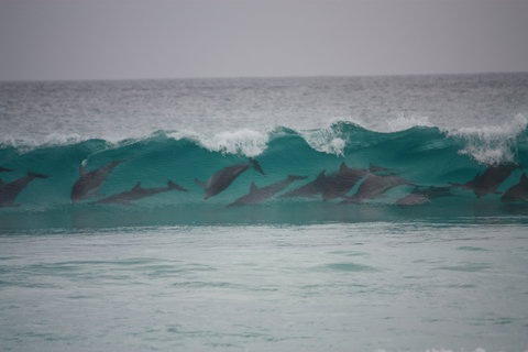 Bremer Bay Caravan Park - ACT Tourism 1