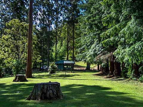 Dingo Tops Campground - ACT Tourism 0