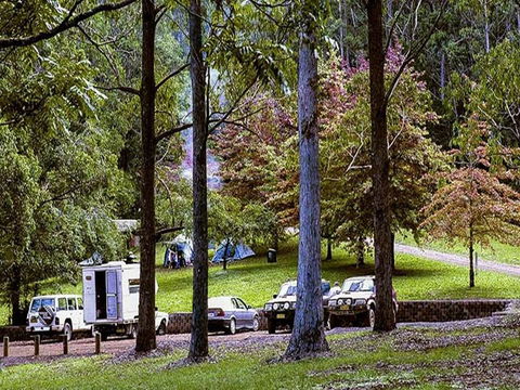 Dingo Tops Campground - ACT Tourism 2