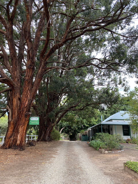 Fernleigh Accommodation - ACT Tourism 0