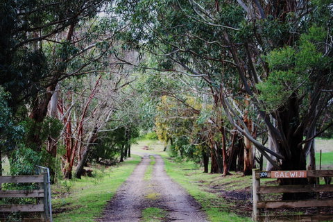 Galwiji Homestead - ACT Tourism 1