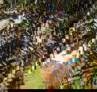 Reflections Holiday Parks Hungry Head - ACT Tourism