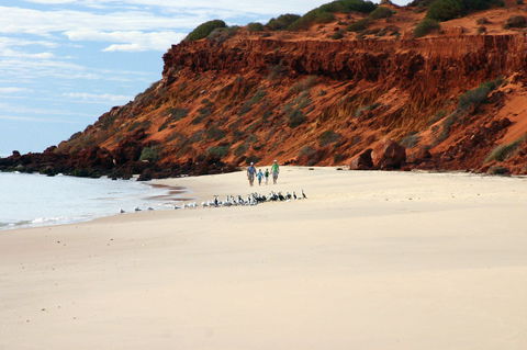 South Gregories Camp At Francois Peron National Park - ACT Tourism 0
