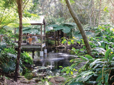 The Oasis And Wellness Centre  At One Mile Beach - ACT Tourism 2