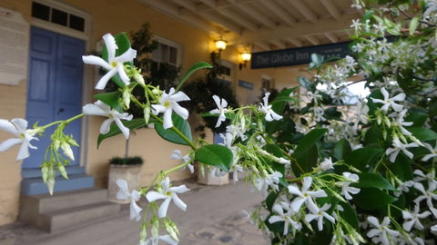 The Globe Inn - ACT Tourism 1