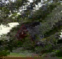 Turkeys Nest Rainforest Cottages Mt Glorious - ACT Tourism