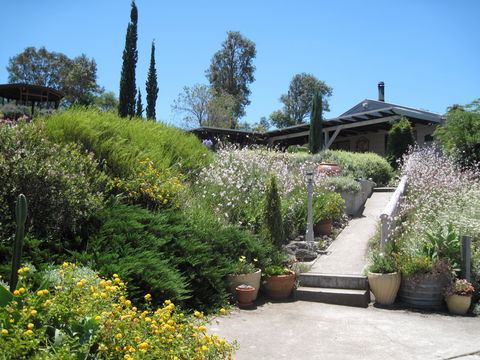 Valley View Cottage Hunter Valley - ACT Tourism 0