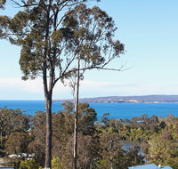 Whale Cove - ACT Tourism