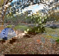 Woolpress Bend campground - ACT Tourism