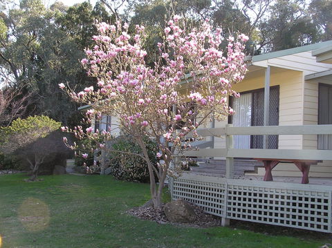 Annies Holiday Units - ACT Tourism 0