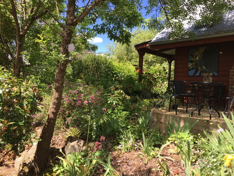 Artscape Cottage Beechworth - ACT Tourism 2