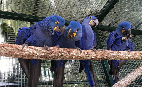 Ashmore Palms Holiday Village - ACT Tourism 2