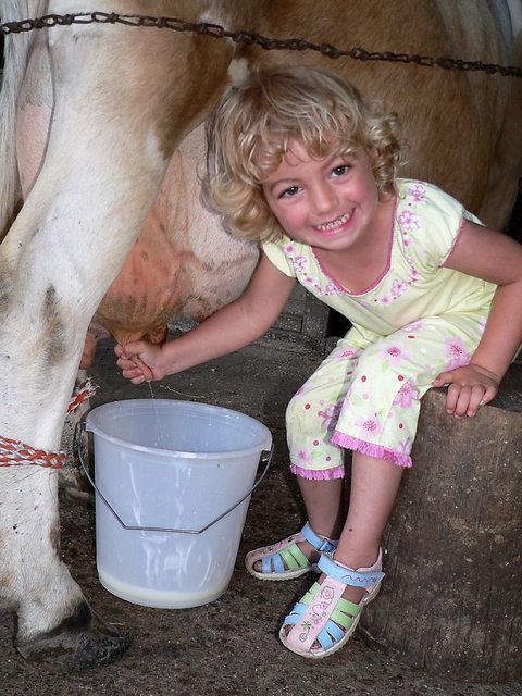 Ashmar Farmstay - ACT Tourism 1