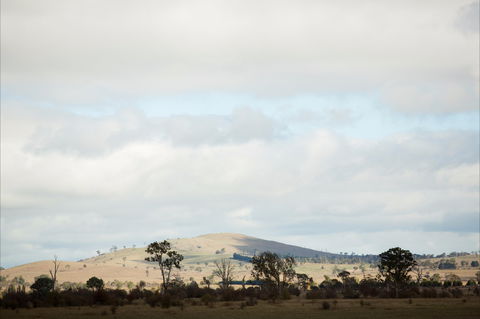 Aurelias Farm Bed And Breakfast - ACT Tourism 1