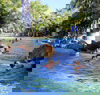 Big4 Aussie Outback Oasis Holiday Park - ACT Tourism