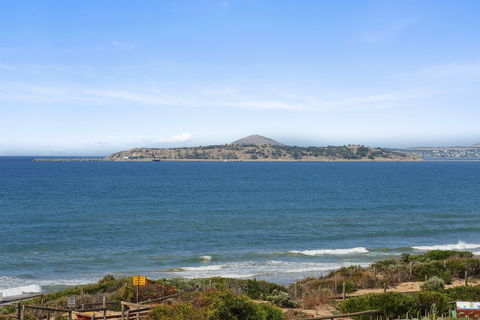 Chiton On The Rocks - Breathtaking Panoramic Coastal Views - ACT Tourism 1