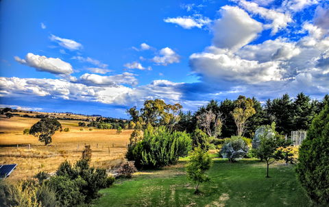 Dairy Park Farm Stay Bed And Breakfast - ACT Tourism 1