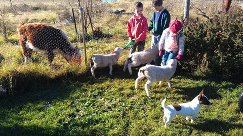 Dairy Park Farm Stay Bed And Breakfast - ACT Tourism 2