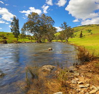Elm Cottage Tumut - ACT Tourism