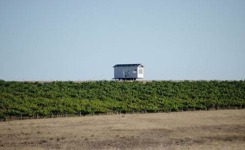 Hounds Run Vineyard - ACT Tourism 0